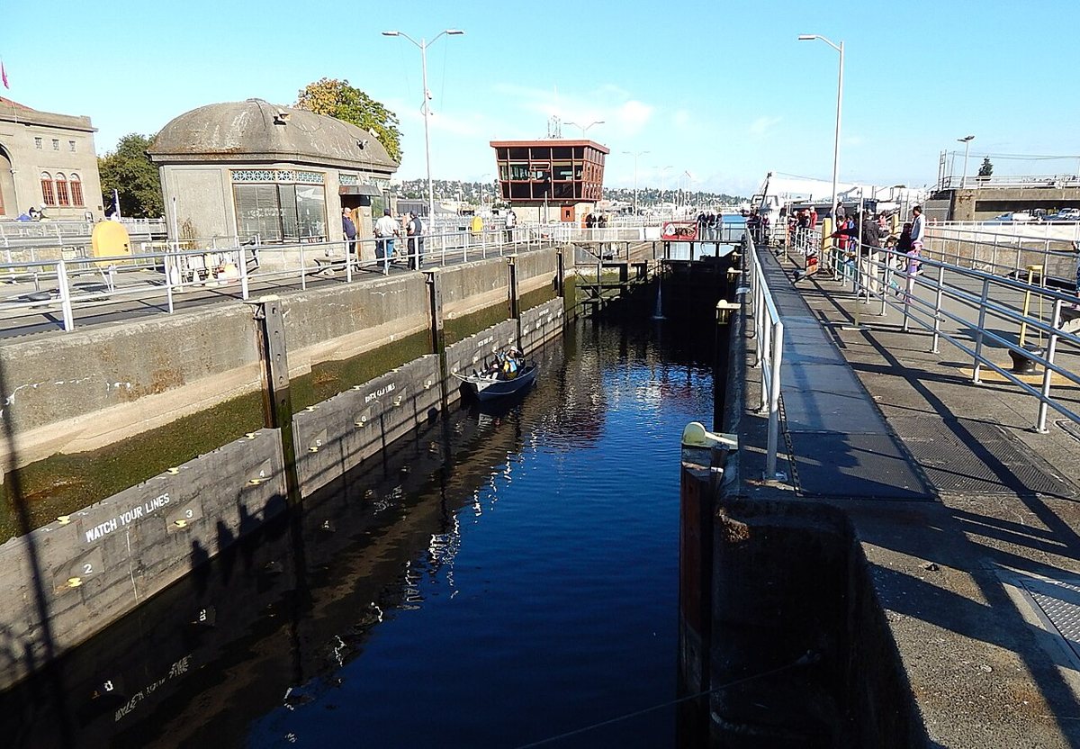 Couple watching boats pass through the Ballard Locks in Seattle