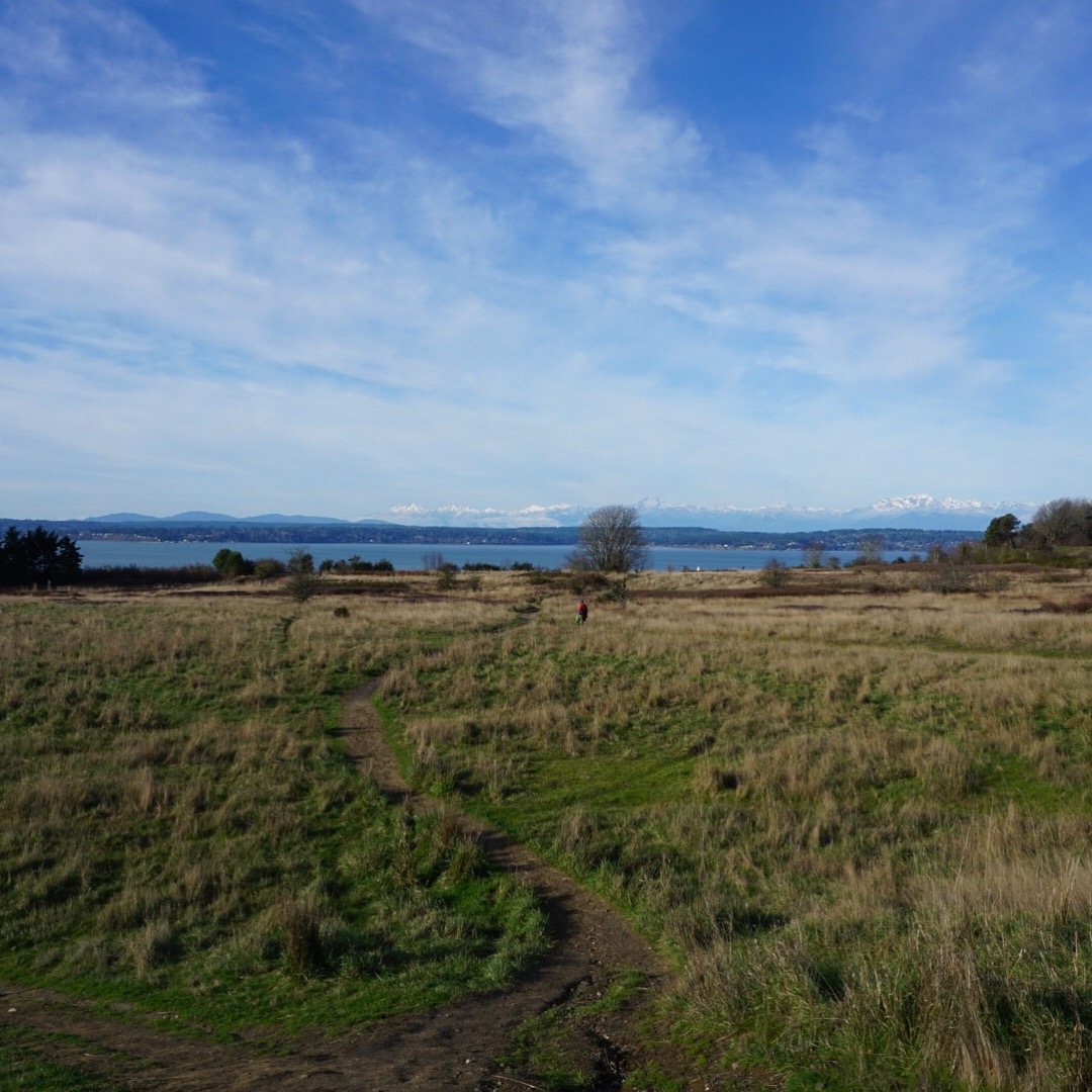 Couple walking a bluff-top trail at Discovery Park with the Puget Sound in view