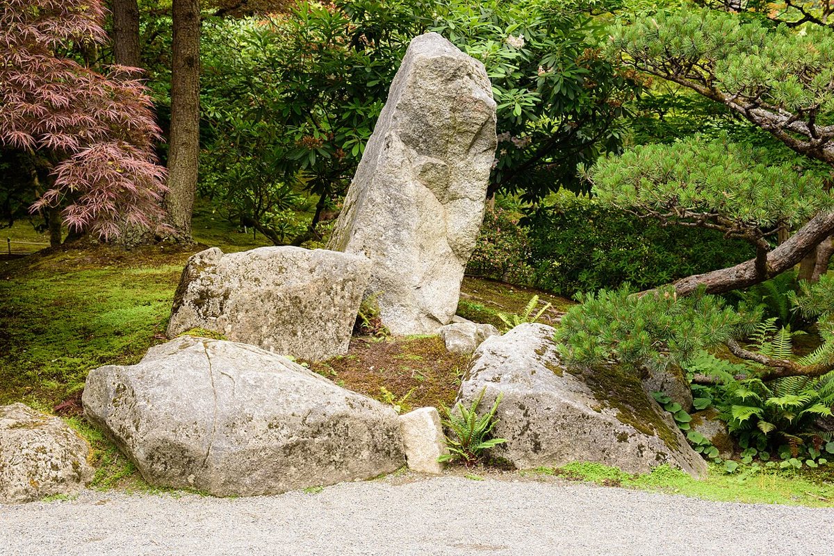 the pond at the Seattle Japanese Garden