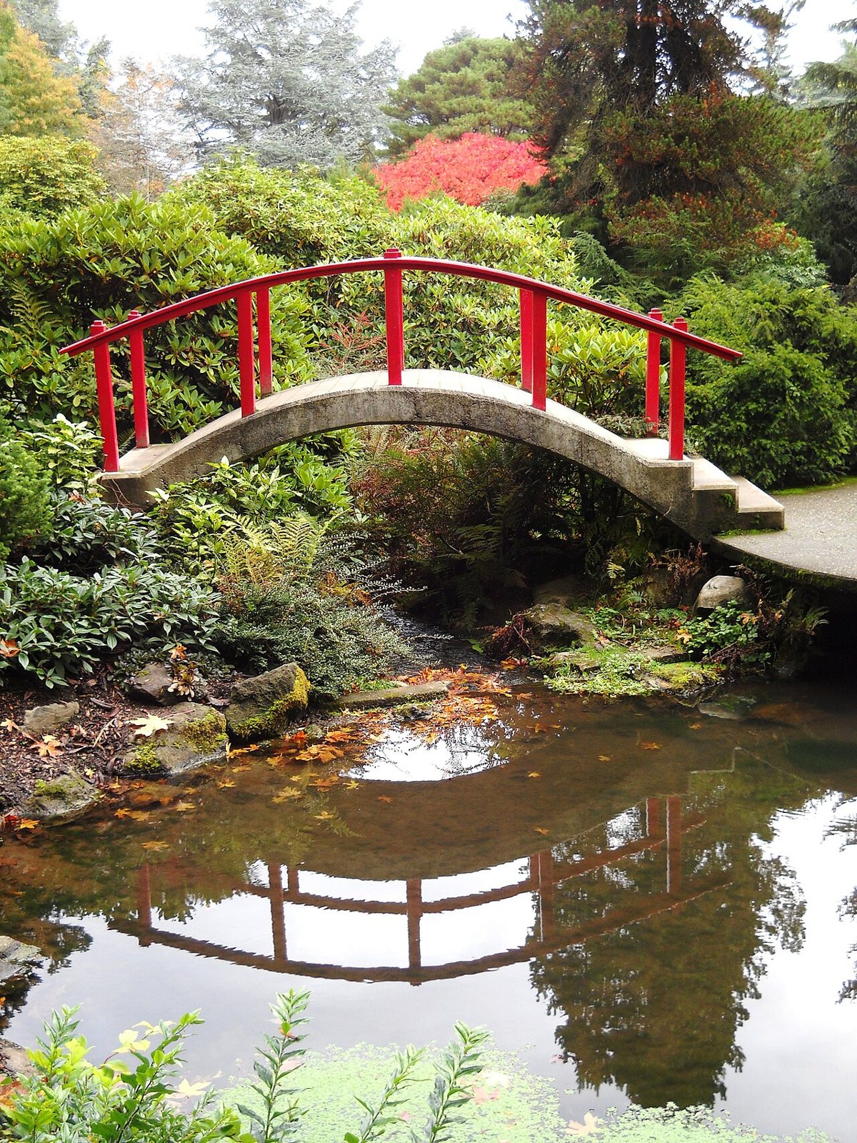 Kubota Garden in Rainier Beach