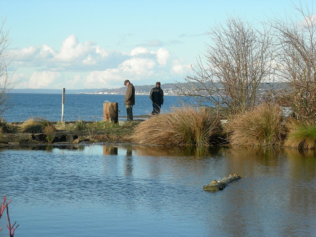 the beach at Golden Gardens Park in Ballard
