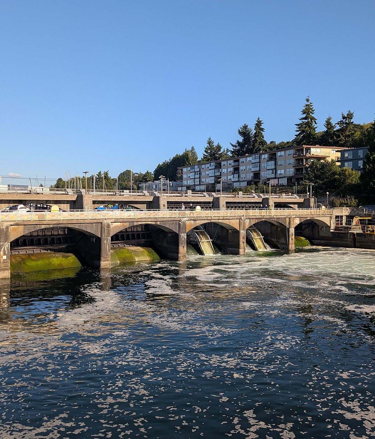 boats passing through the Ballard Locks