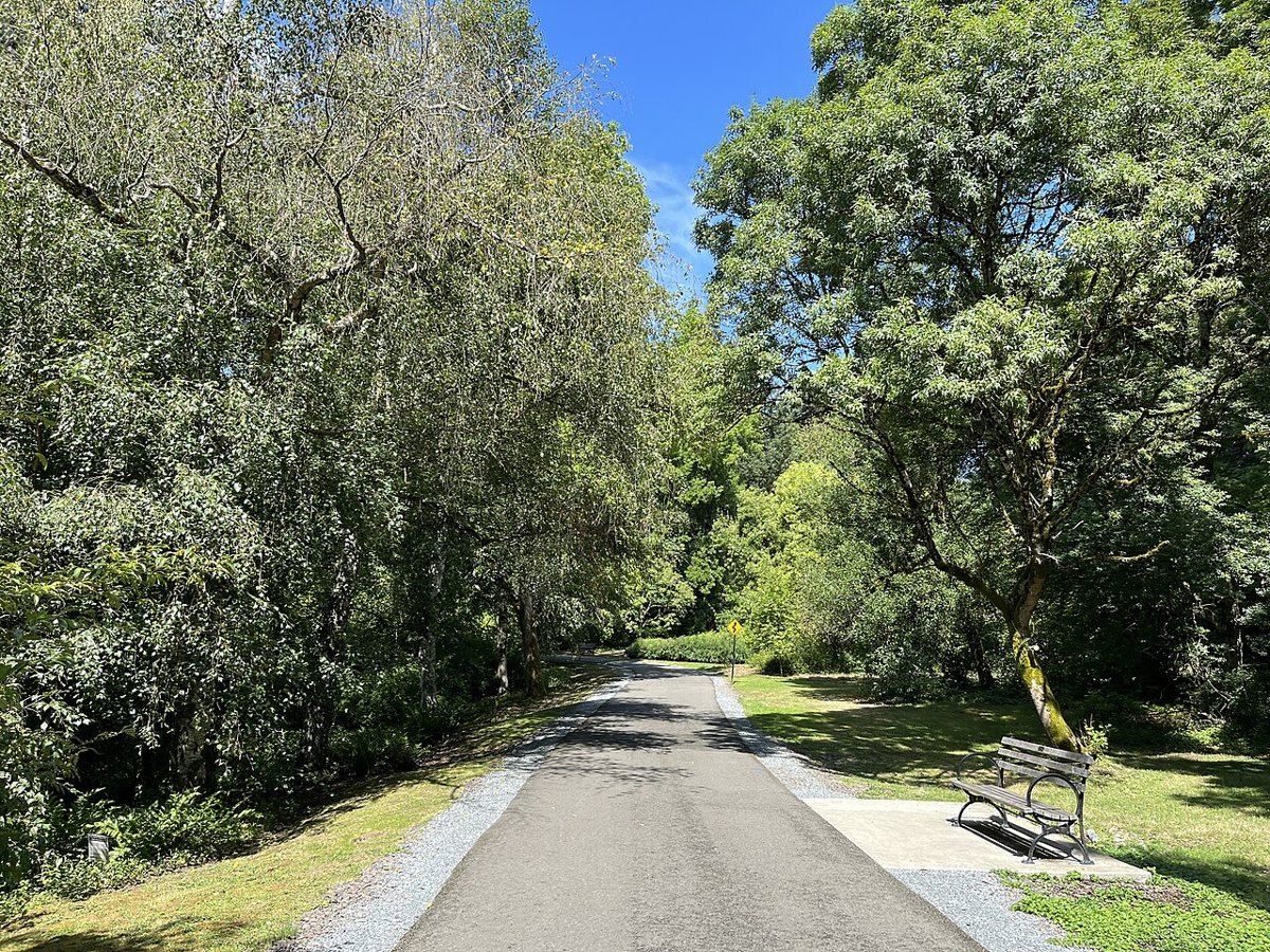 a forest path through the arboretum